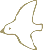 style-environment-img